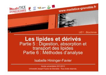 Les lipides et dÃ©rivÃ©s - UniversitÃ© Virtuelle Paris 5