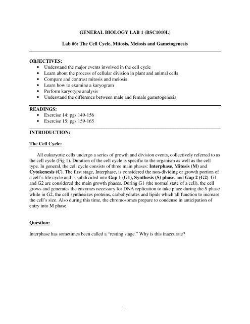 Lab #6: The Cell Cycle, Mitosis, Meiosis and Gametogenesis ...
