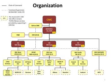 DSO Organizational Chart