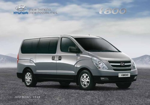 Hyundai i800 shop side steps