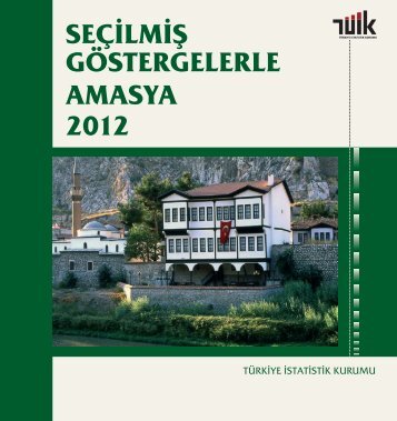 SeÃ§ilmiÅ GÃ¶stergelerle Amasya, 2011 - TÃ¼rkiye Ä°statistik Kurumu