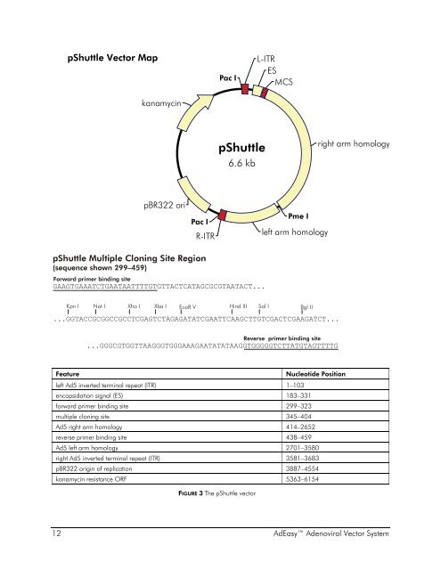 Manual: AdEasy Adenoviral Vector System - UCLA Human Genetics