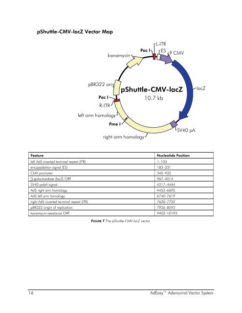 Manual: AdEasy Adenoviral Vector System - UCLA Human Genetics