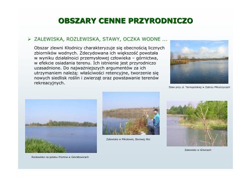 KÅodnica mojÄ rzekÄ - Instytut Ekologii TerenÃ³w UprzemysÅowionych