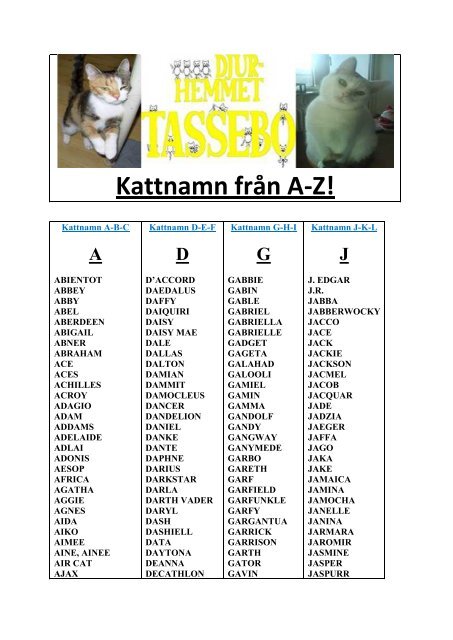 Kattnamn frÃ¥n A-Z! - Djurhemmet Tassebo