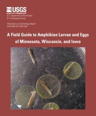 A Field Guide to Amphibian Larvae and Eggs of Minnesota ... - USGS