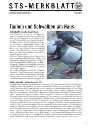 Merkblatt Tauben und Schwalben am Haus