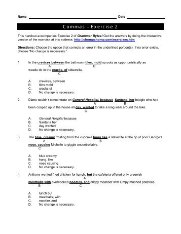 Commas â Exercise 2 - McGavockEnglish1