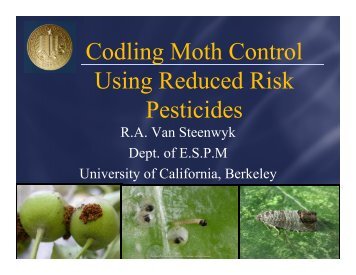 VanSteenwyk New Codling moth in Walnuts - Kings County