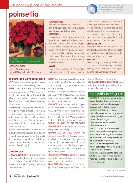 Flower Of Life Printable Pdf | Best Flower Site