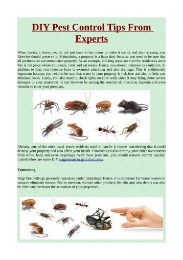 DIY Pest Control Tips From Experts