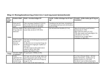 Bilag 14: Meningskondensering af interview 3 med ung mand ...