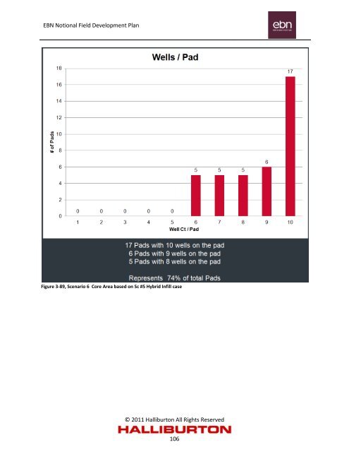 Notional Field Development Final Report - EBN