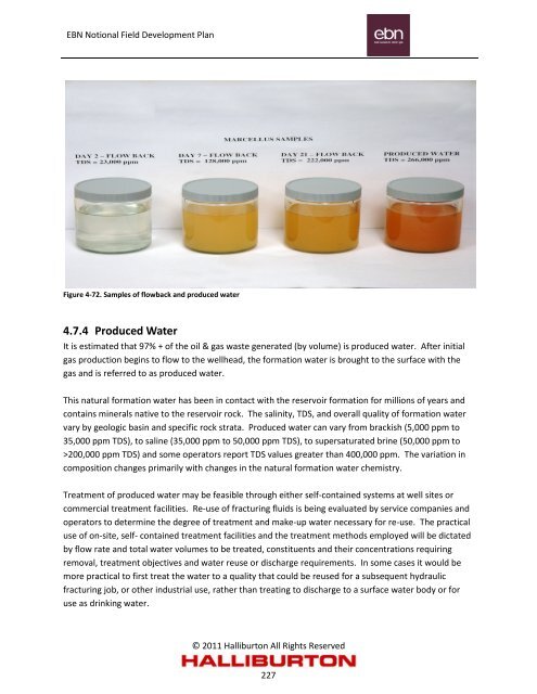 Notional Field Development Final Report - EBN