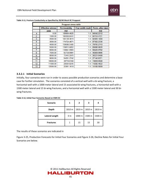 Notional Field Development Final Report - EBN