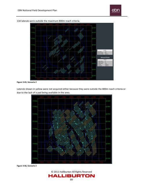 Notional Field Development Final Report - EBN