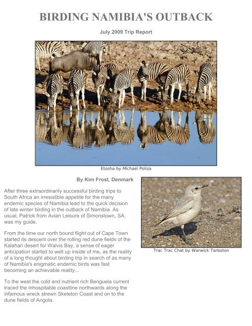 Birding Tours Namibia, Etosha, birdwatching Namibia ... - Netfugl.dk