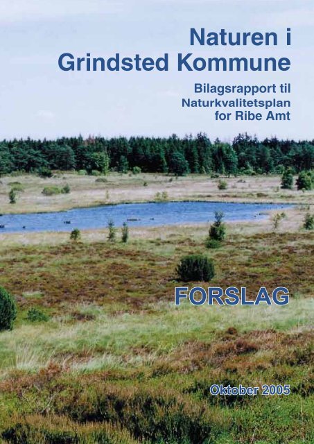 Grindsted - Billund Kommune