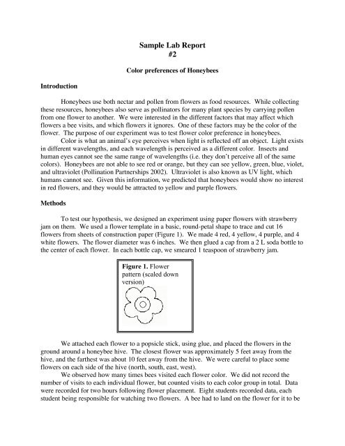 Sample Lab Report 2 - PDF
