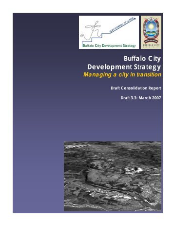 Buffalo City Development Strategy - Draft