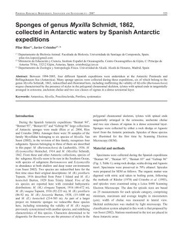 Sponges of genus Myxilla collected in Antarctic ... - Porifera Brasil