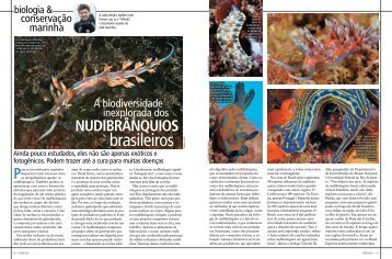 A biodiversidade inexplorada dos nudibrÃ¢nquios ... - Instituto Laje Viva