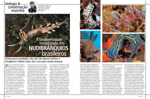 A biodiversidade inexplorada dos nudibrÃ¢nquios ... - Instituto Laje Viva