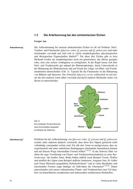 Förderung der Eiche - Schweizer Informationssystem Biodiversität ...