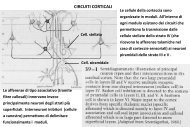 Lezione Fisiologia Umana 16-04-2012 - Omero