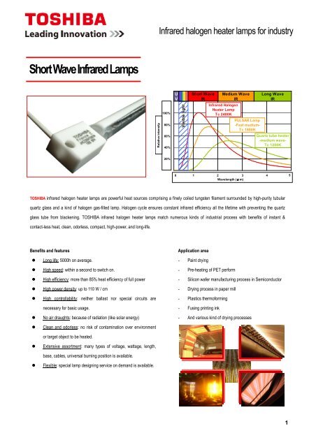 Short Wave Infrared Lamps