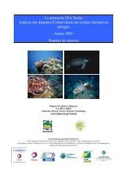Télécharger - PDF - Réseau des tortues marines de Guadeloupe