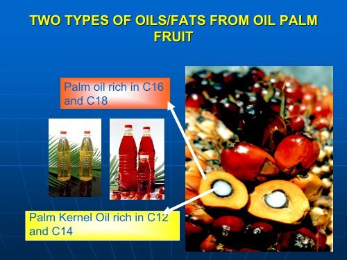 Palm Based Oleochemicals - Cosmetics - American Palm Oil Council