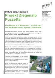 Projekt Ziegenalp Puzzetta - Bergwaldprojekt