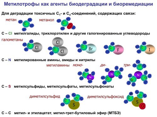 Троценко Ю. А. Биоразнообразие аэробных метилотрофов (pdf ...