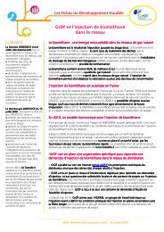 GrDF et l'injection de biomÃ©thane dans le rÃ©seau15102010