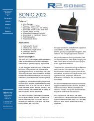 sonic 2022.pdf