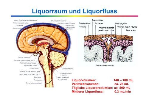 Liquordiagnostik - Institut für Klinische Chemie