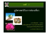 à¹à¸±à¹à¸µà¹à¸ à¸¹à¸¡à¸´à¸¨à¸²à¸ªà¸à¸£à¹à¸à¸±à¸à¸à¸²à¸£à¸à¹à¸­à¸à¹à¸à¸µà¸¢à¸§