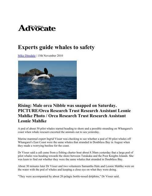 Experts guide whales to safety - Orca Research Trust