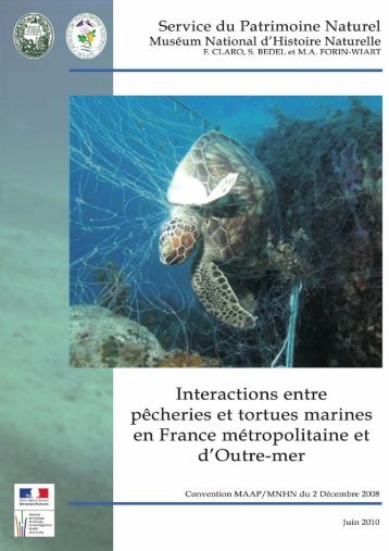 télécharger le document - Réseau des tortues marines de Guadeloupe