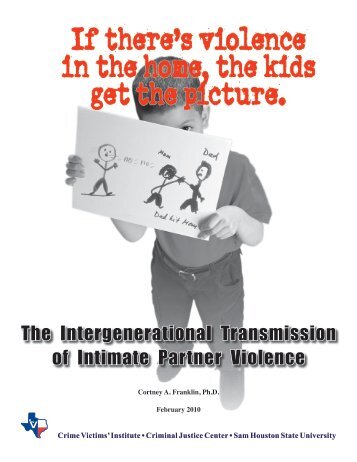 The Intergenerational Transmission of Intimate Partner Violence