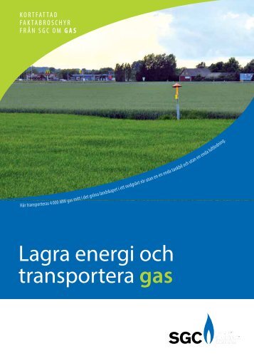 Lagra energi och transportera gas - SGC