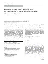 Leaf silicon content in banana (Musa spp.) reveals ... - ResearchGate