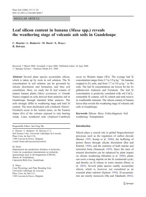 Leaf silicon content in banana (Musa spp.) reveals ... - ResearchGate