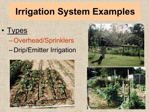 Organic Vegetable Gardening - Sarasota County Extension