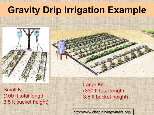 Organic Vegetable Gardening - Sarasota County Extension