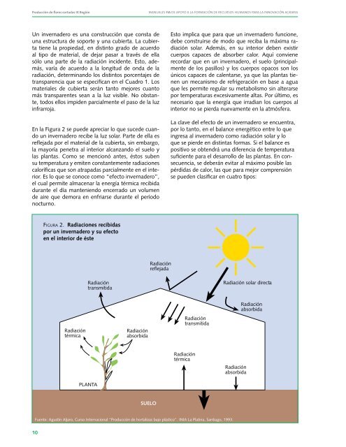 ProducciÃ³n de flores cortadas IX regiÃ³n