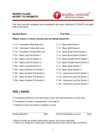 black belt essay requirements black belt essay requirements