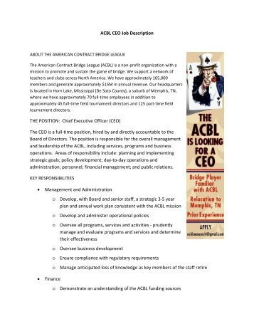 ceo description