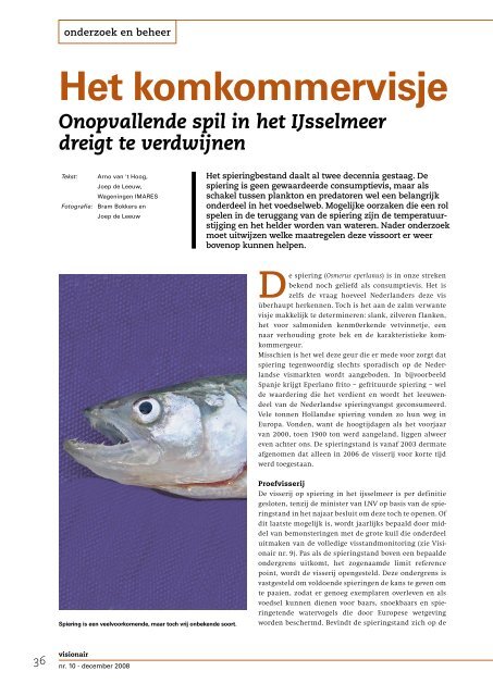 Het komkommervisje Onopvallende spil in het IJsselmeer dreigt te